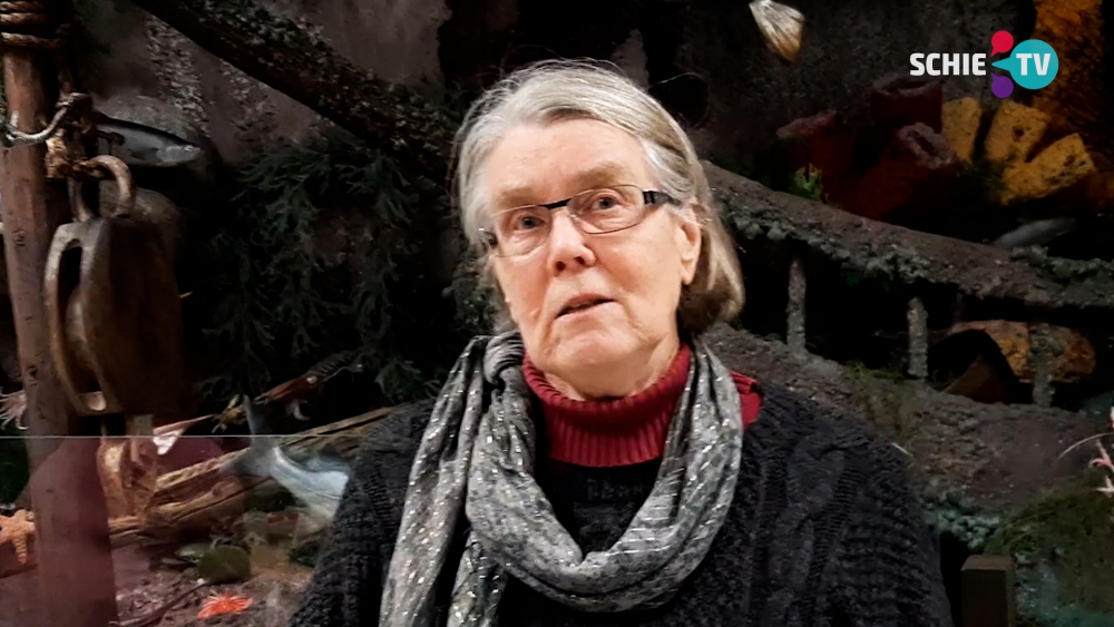"We zullen elk jaar in december meer bloeiende planten vinden"