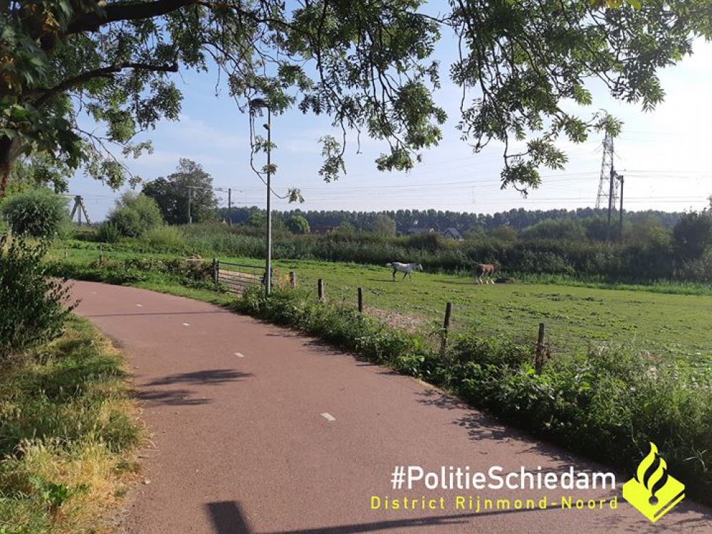 Gewonde in Kethel weet niet wat er is gebeurd