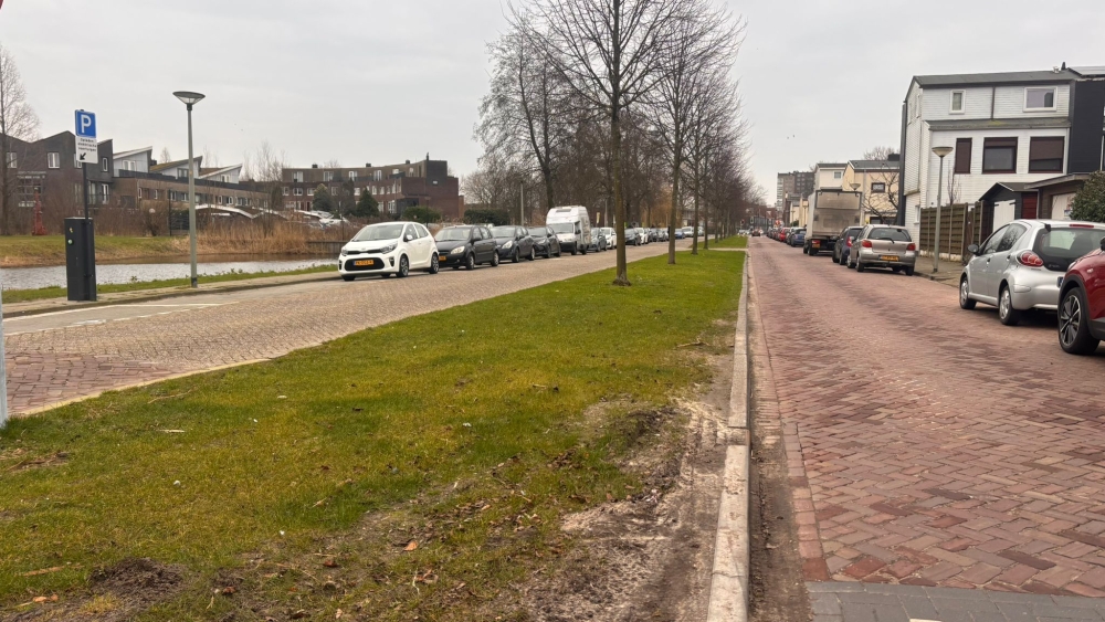 Herinrichting Indische Buurt: ‘Waarom Riouwlaan niet in één keer aangepakt?’