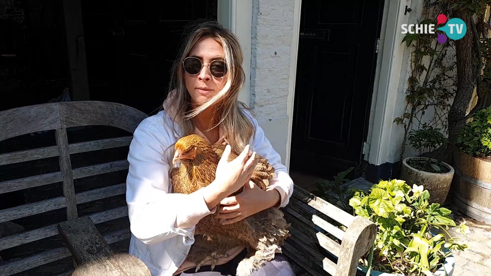 Samen Schiedam 26: Kip, ik heb je
