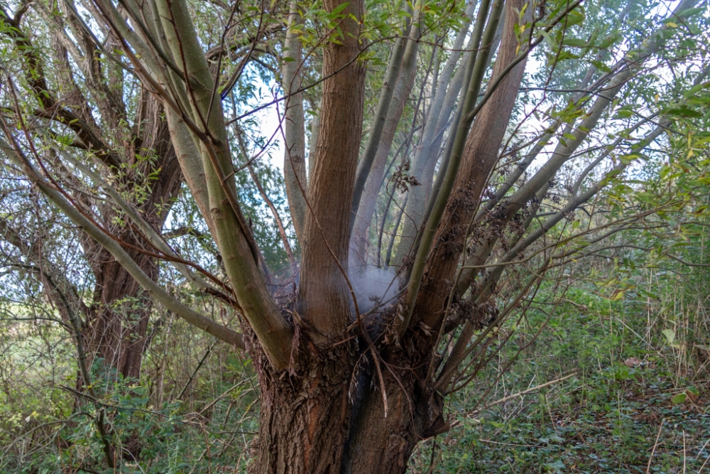 Brand in boom in de Broekpolder