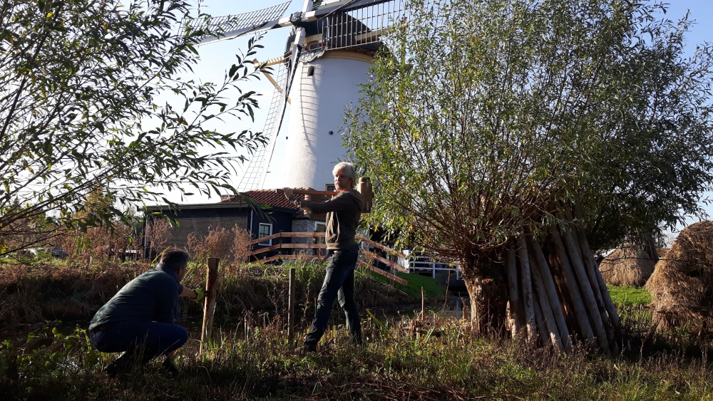 Jongeren in actie voor de natuur bij de Babbersmolen tijdens de Nature Impact Days op 5 juni