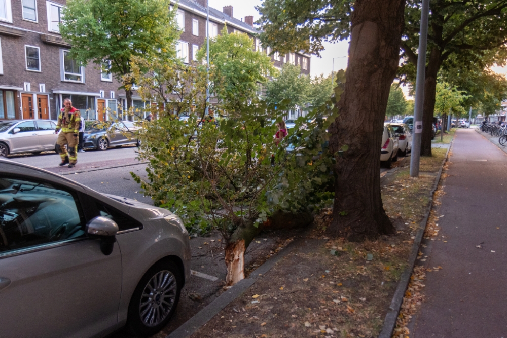 Grote tak breekt uit boom, schade valt mee