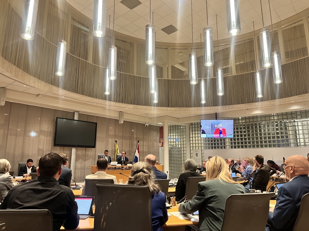 Schiedamse gemeenteraad wil een einde maken aan huisjesmelkers in West