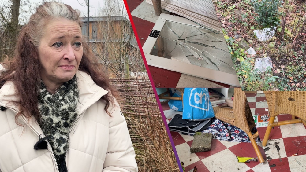 Inbrekers stelen koekjes uit tuinhuisjes in Vlaardingen en laten poep achter