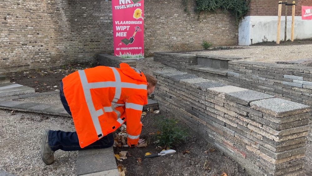 Vlaardingen wipt meer dan ooit, maar wint niet de Gouden Schep