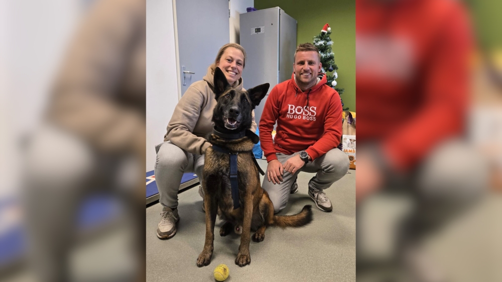 ‘Het is gelukt’: Clyde krijgt na 426 dagen eindelijk zijn gouden mand