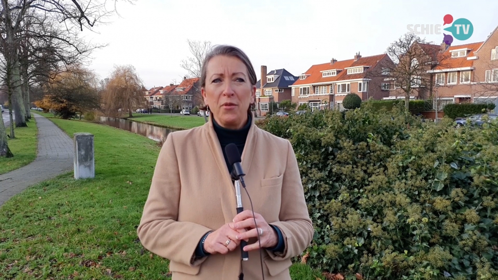 Bomenridders, terugblikkend op 2020: 'Afgezien van de grote kerstboom bij het stadhuis, zijn er niet veel bomen bijgekomen'