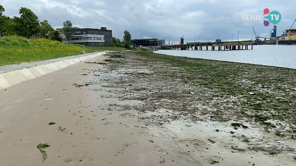 Getijdenpark in Zuid krijgt een 'vangarm' tegen drijvend afval
