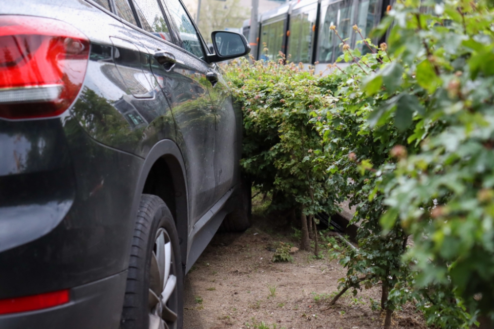 Auto belandt na aanrijding in bosjes