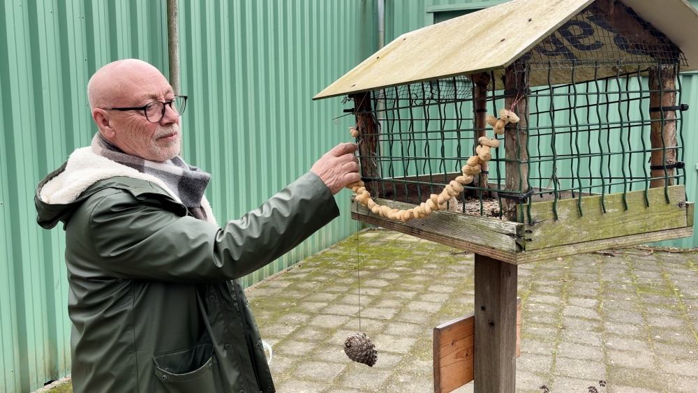 Van pimpelmees tot merel: er worden weer volop vogels geteld dit weekend