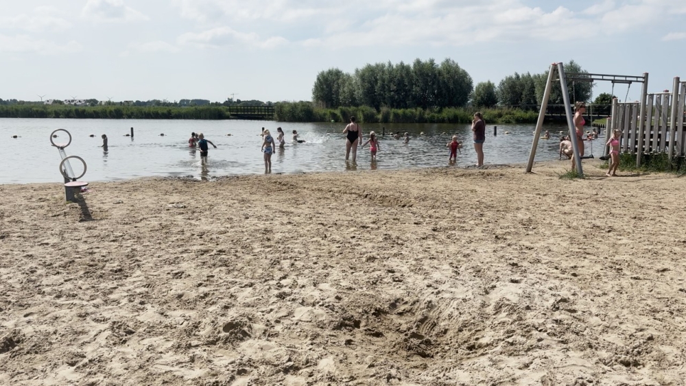 Geen geplons meer: blauwalg is weer terug in de Krabbeplas