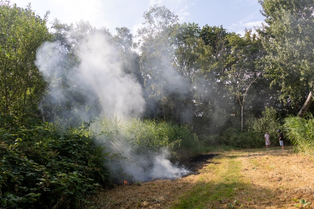 Natuurbrand langs geluidsscherm snelweg