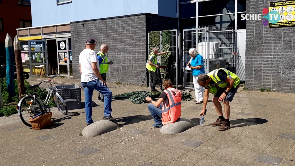 Van 't Hoffplein wordt steeds groener