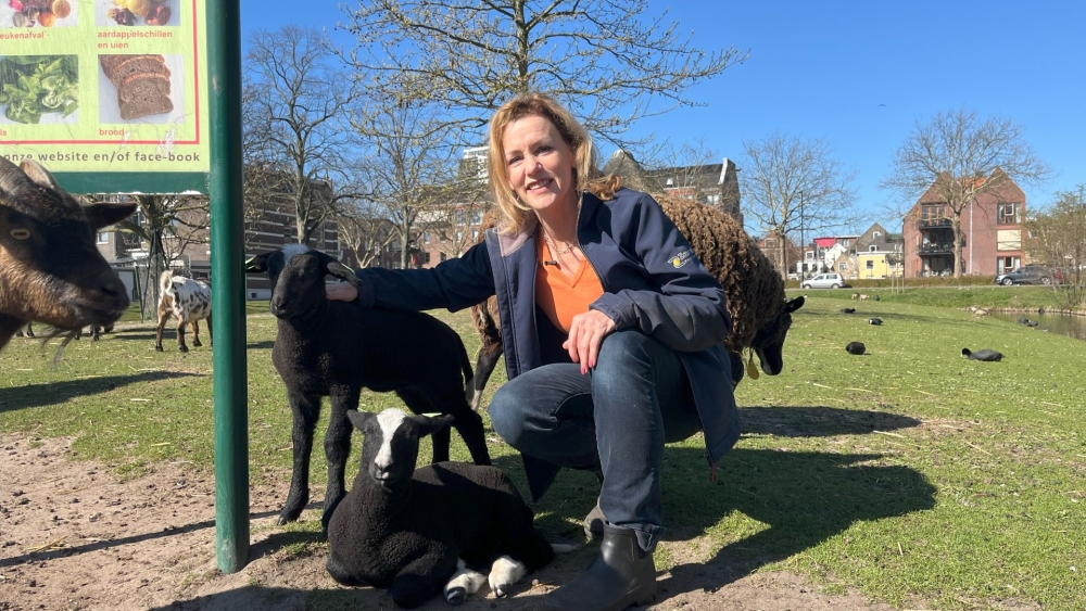 Dierenweide het Hof al tien jaar in handen van vrijwillige buurtbewoners
