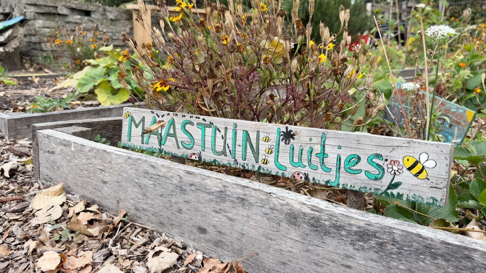 ‘De tuin is toch wel een stuk van mijn geluk’: Maastuin viert 10-jarig jubileum