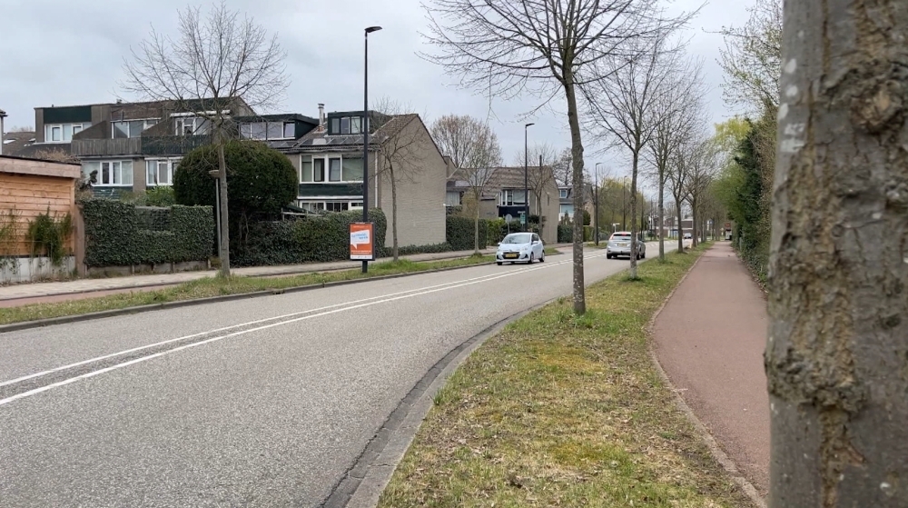 De Olmendreef in Vlaardingen