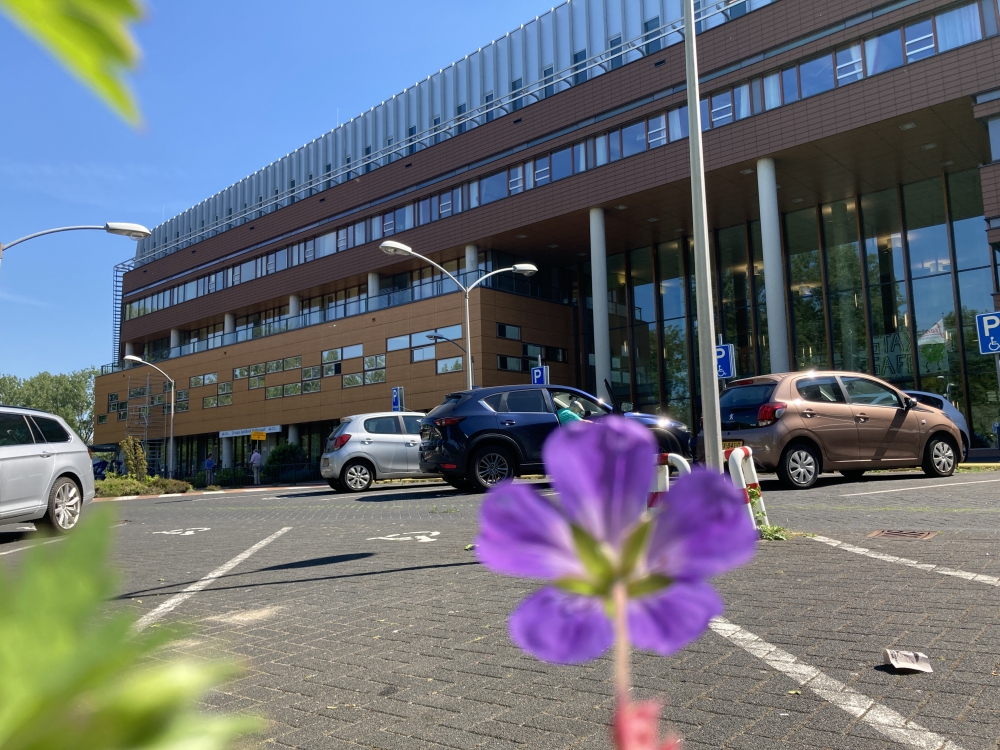 Corona in Schiedam: 16 nieuwe besmettingen en één ziekenhuisopname