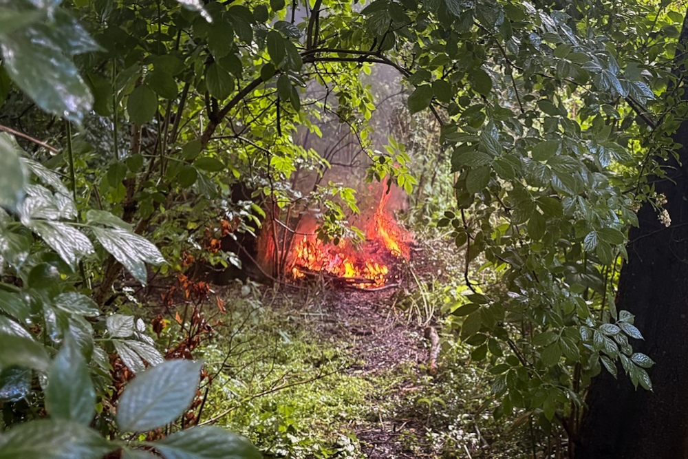 Gedumpte kabels in brand gestoken in Vlaardings Oeverbos, over daders niets bekend