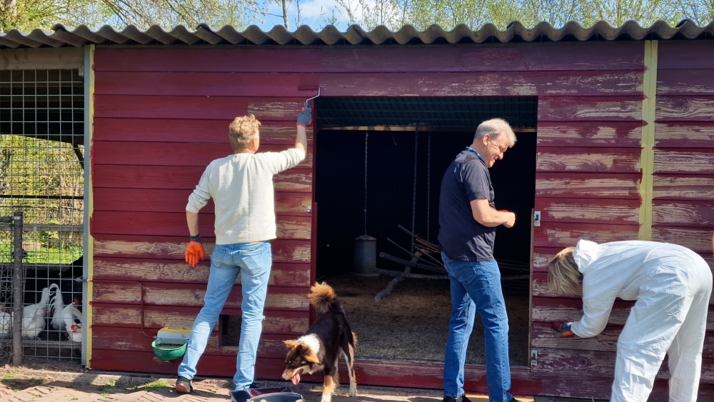 Stadsboerderij Holywood krijgt nieuw jasje: ‘Ze moeten een mooi huisje hebben’