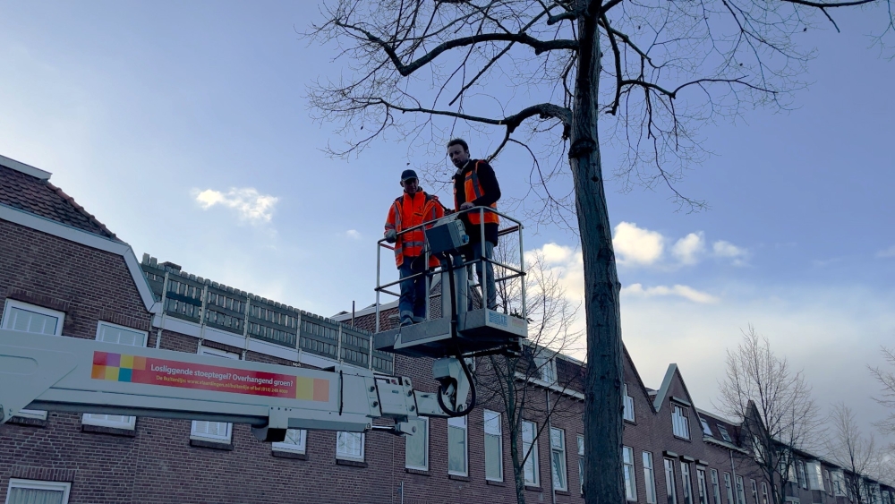 Marktbuurt opgefrist: losse stoeptegels, overhangende takken en weesfietsen aangepakt