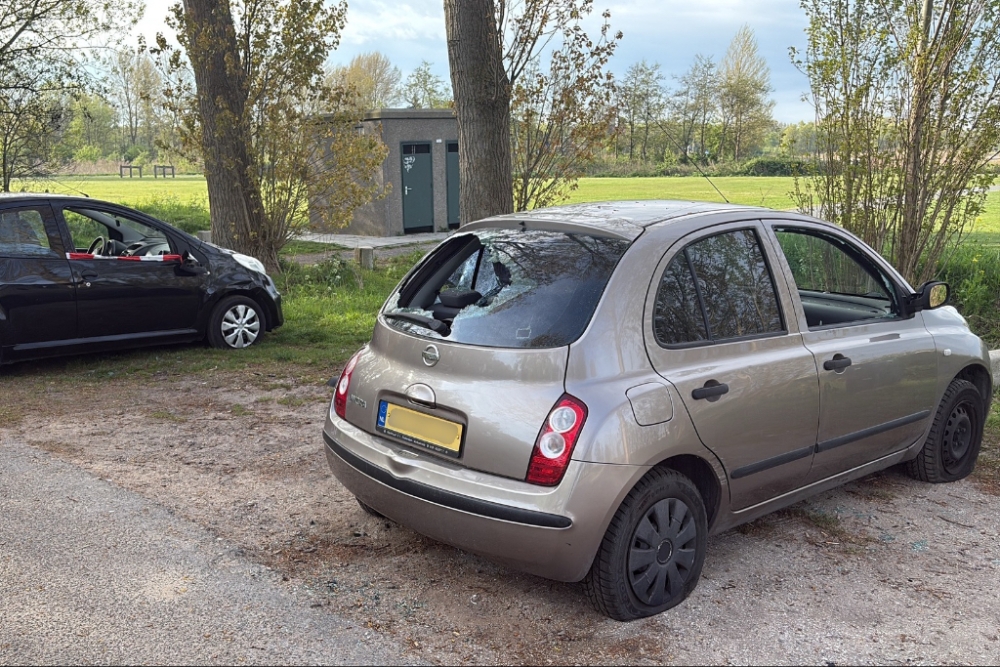 Ruiten ingeslagen en banden lekgestoken bij auto's naast Surfplas
