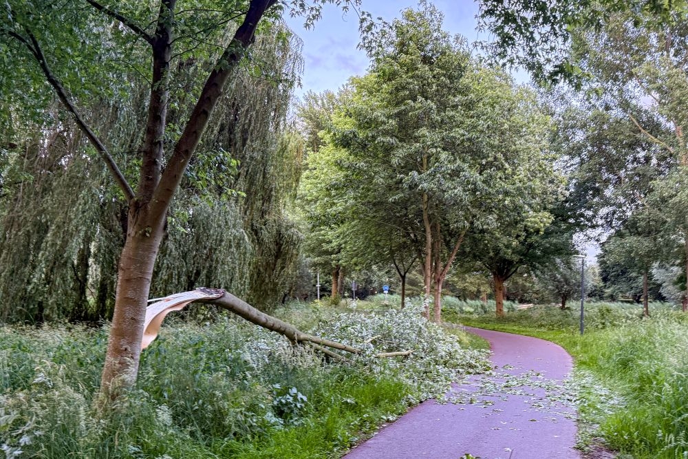 Zware tak breekt van boom en valt gedeeltelijk op fietspad in Kethel