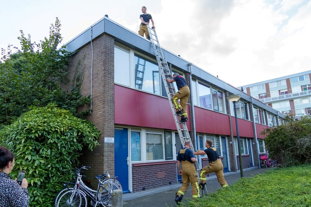 Kitten op dak in Vlaardingen maakt rara sprong