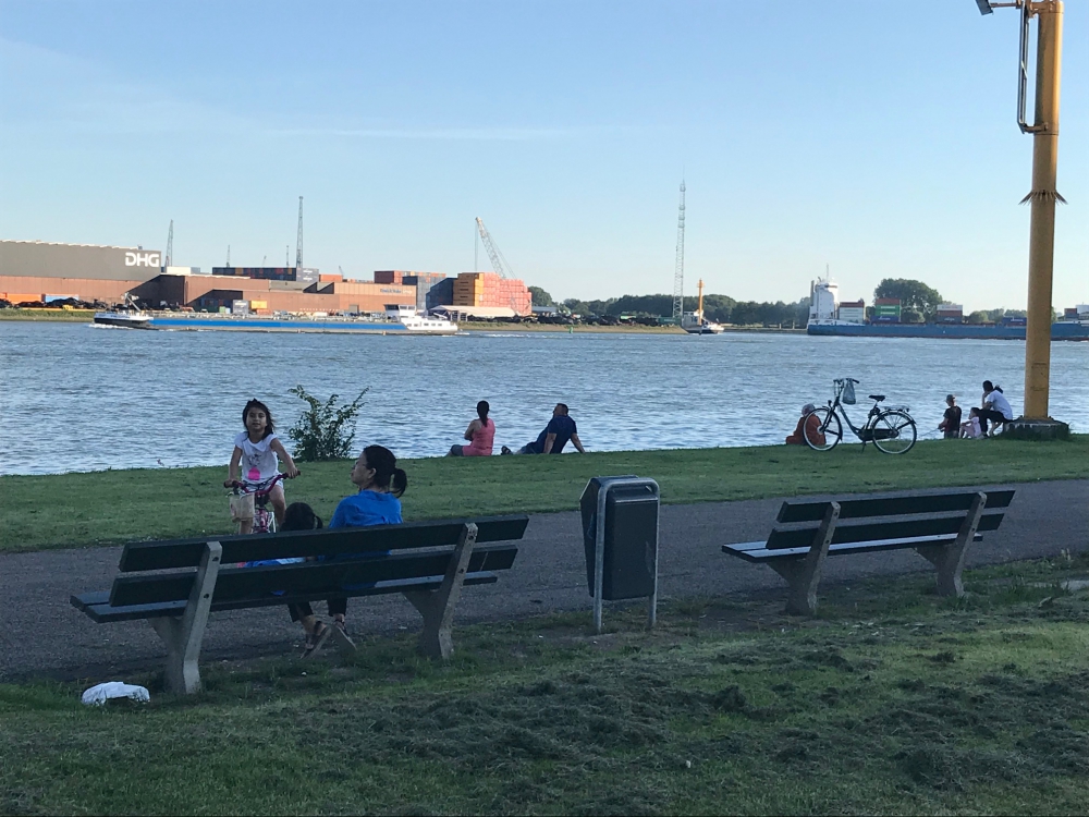 'De overlast, het nieuwe parkeerverbod en de straatraces zijn menig bewoner Maasboulevard een doorn in het oog'