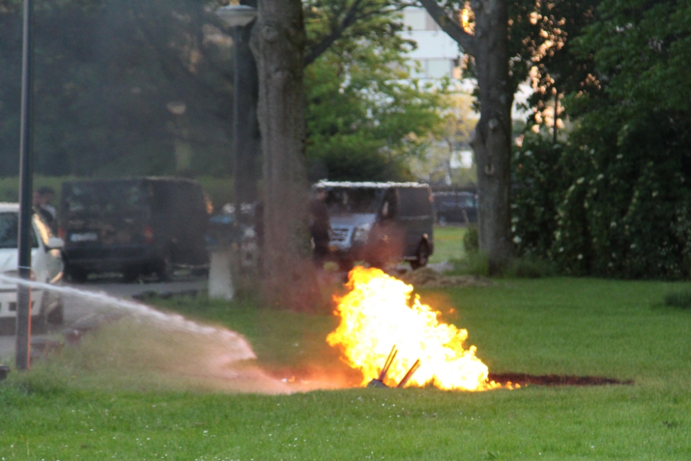 Barbecueën loopt een beetje uit de hand op de Maasboulevard
