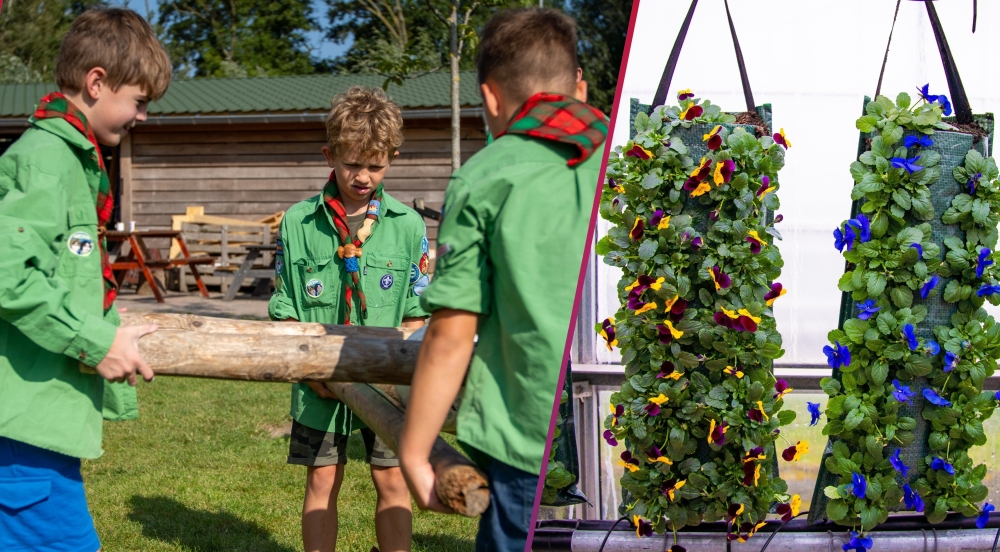 De violenactie van de scouting is van start gegaan