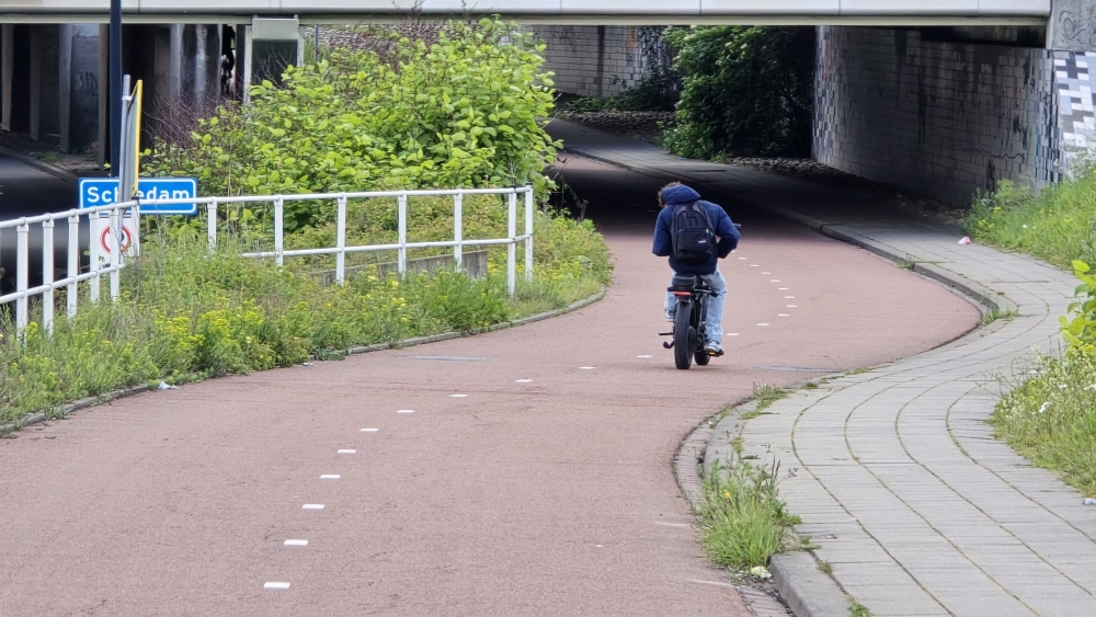 Duizendknoop midden op fietsroute weer gesnoeid, maar bestrijding blijft flinke kluif