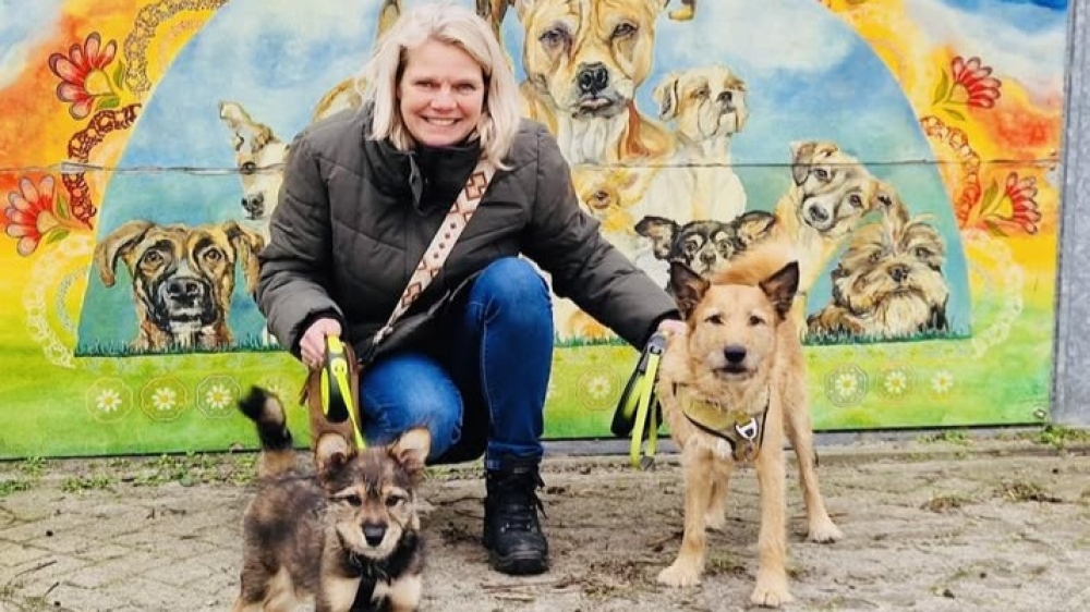 Gedumpte pup Dolfje hoeft niet langer te zwerven, heeft nu een nieuw thuis