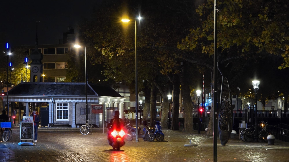 Bomen Oude Haven opgefleurd met nieuwe duurzame lampjes