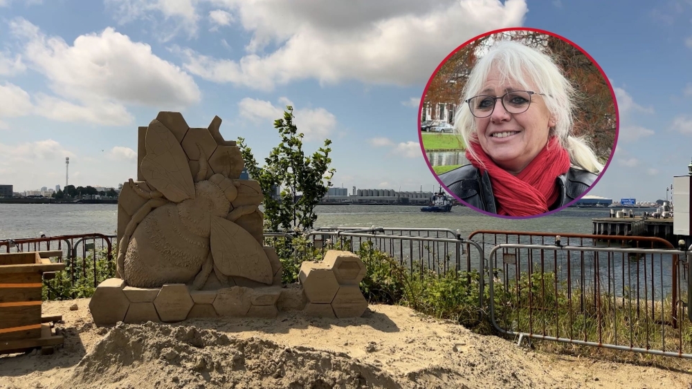 Stadsstrand ook komende zomer nog in Vlaardingen, maar 'echt voor de allerlaatste keer'