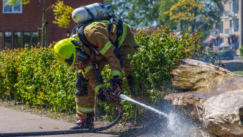 Brandende boomstronk zorgt voor onrust in Seringenstraat in Vlaardingen