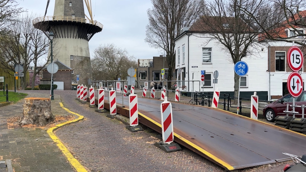 Boom bij Heulbrug al gekapt vóór uitspraak bezwaarcommissie: 'Risico genomen'