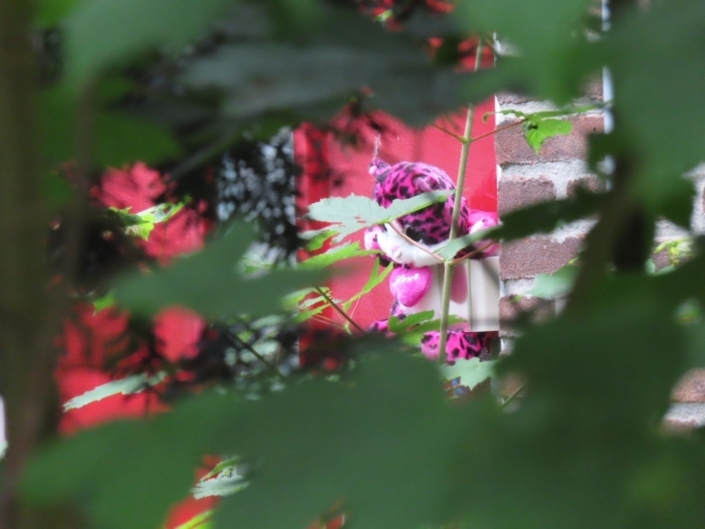 Biologische moeder tegen pleegouders: ‘Hoe kan je vergeven wat onvergeeflijk is?’