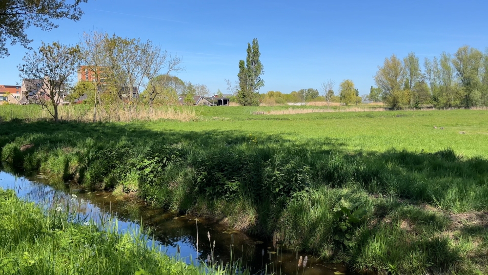 Na afvallen asielopvang Torendijk, weide bij Thurlede weer alternatief