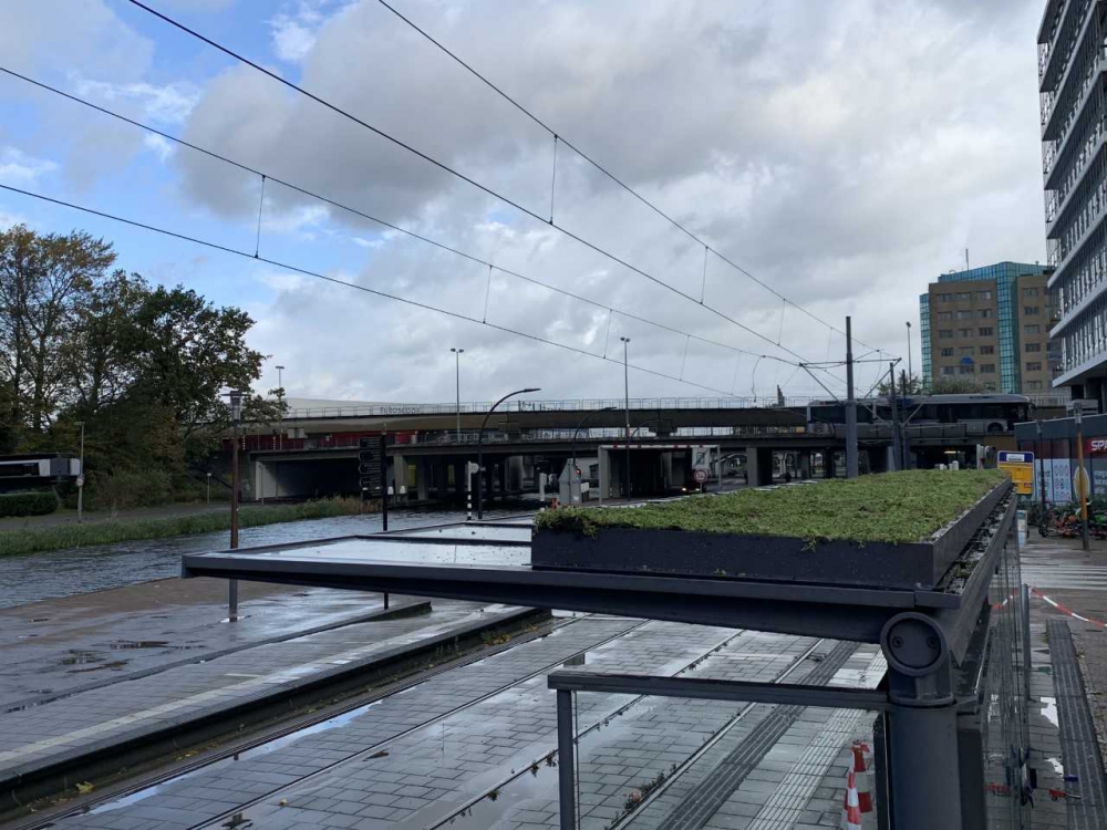 Schiedam heeft nu groene abri's, maar maaien hoeft niet