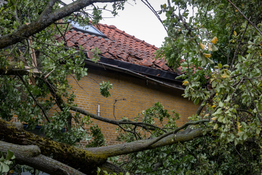 Boom waait om en belandt op dak: &#039;Ik dacht dat het hele huis plat lag&#039;