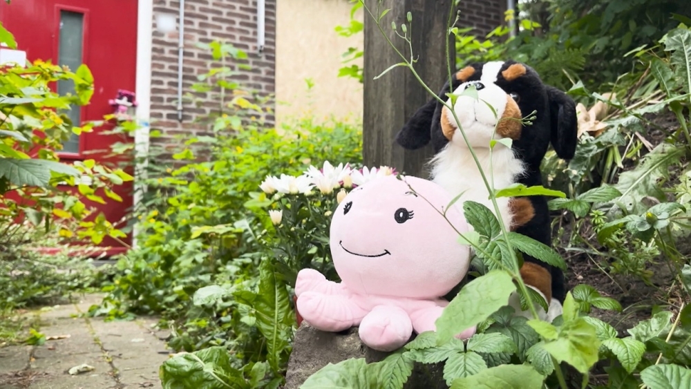 Openbaar Ministerie in hoger beroep tegen straf Vlaardingse pleegouders