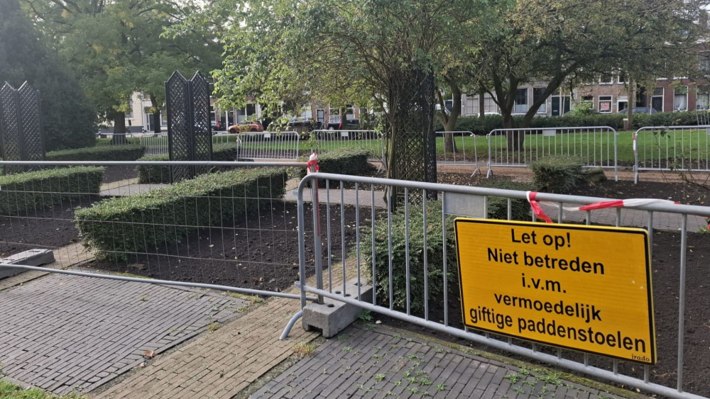 Park De Plantage op donderdagochtend 29 oktober