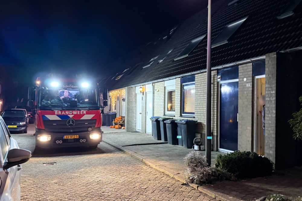 Schiedammer blust oververhitte frituurpan zelf