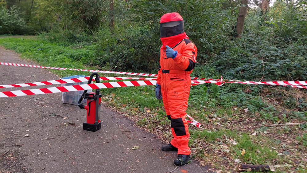 Geelpoothoornaarnest waait uit boom in Schiedams park
