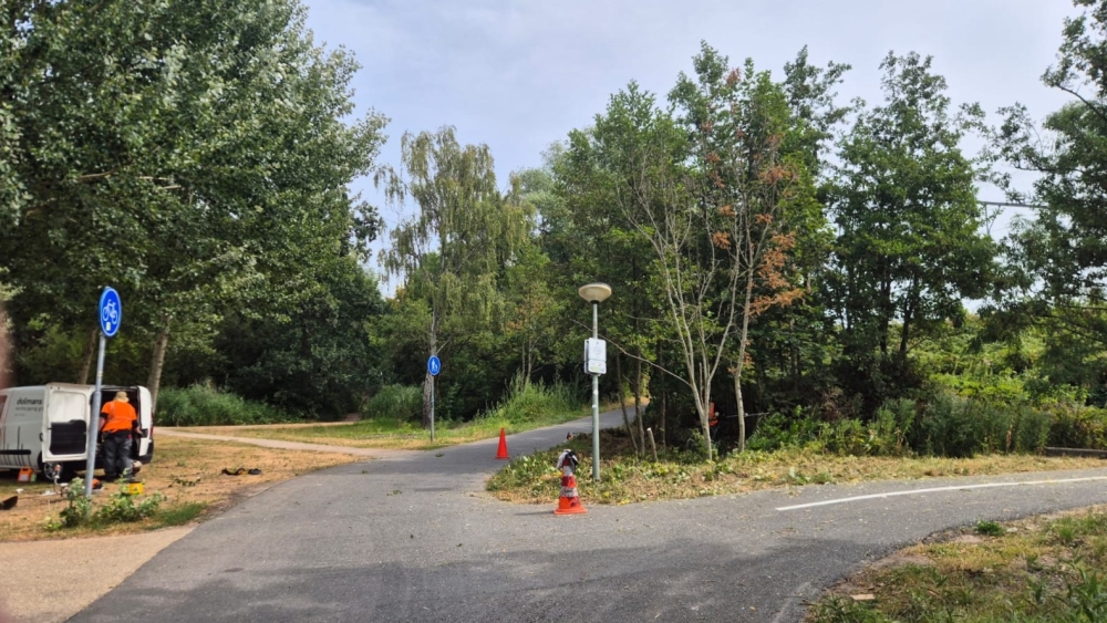 Vragen over onoverzichtelijk kruispunt, gemeente snoeit nog voor de antwoorden