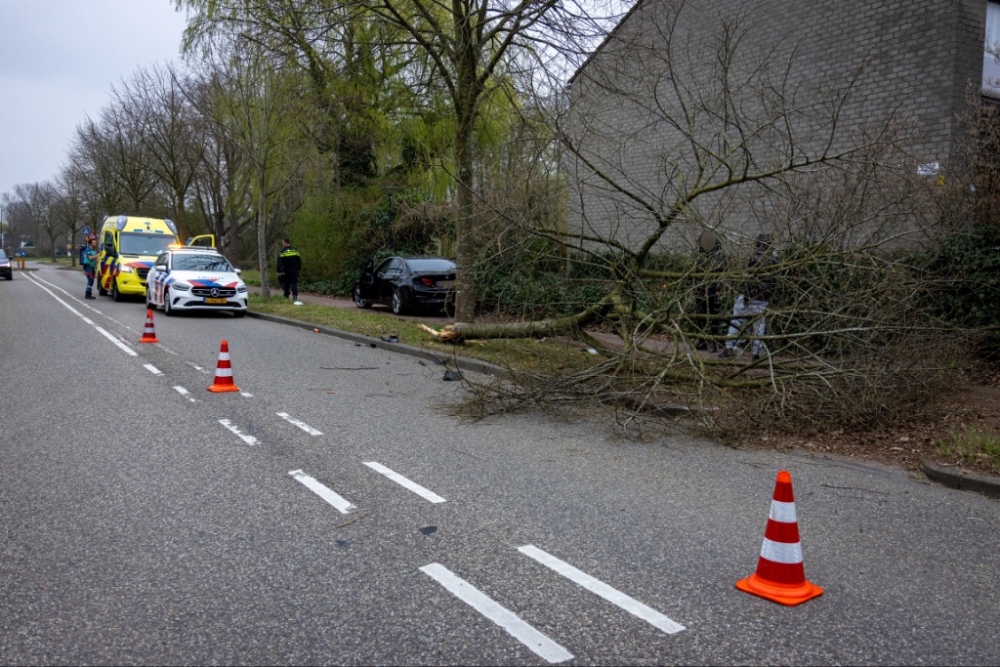 Boom uit de grond gereden bij aanrijding