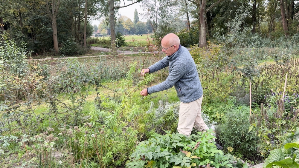 Vrijwilligers Park Kethel verbijsterd: helft van hun stoeptegels weg