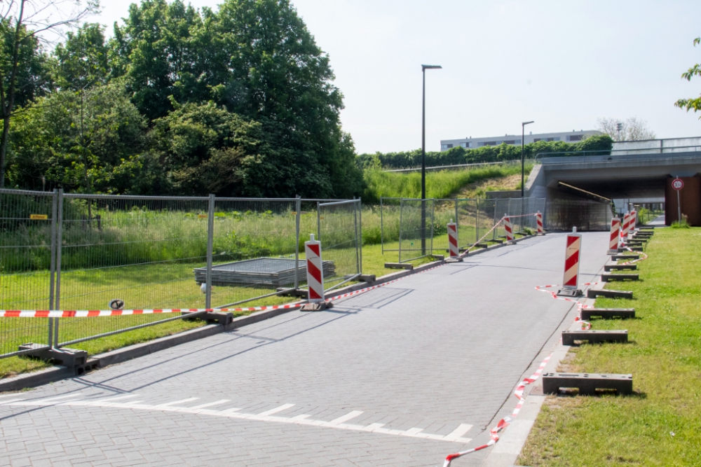 Hekken op de Parkweg om verkeersoverlast richting Beatrixpark tegen te gaan
