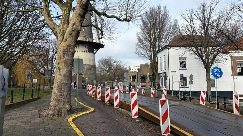Al vier jaar een probleem: bezwaar tegen boom zorgt opnieuw voor uitstel Heulbrug